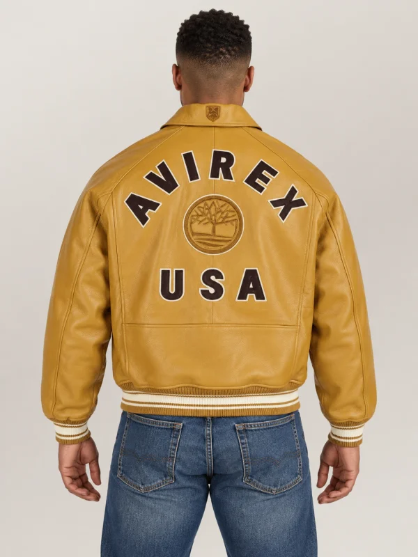 04_back_model