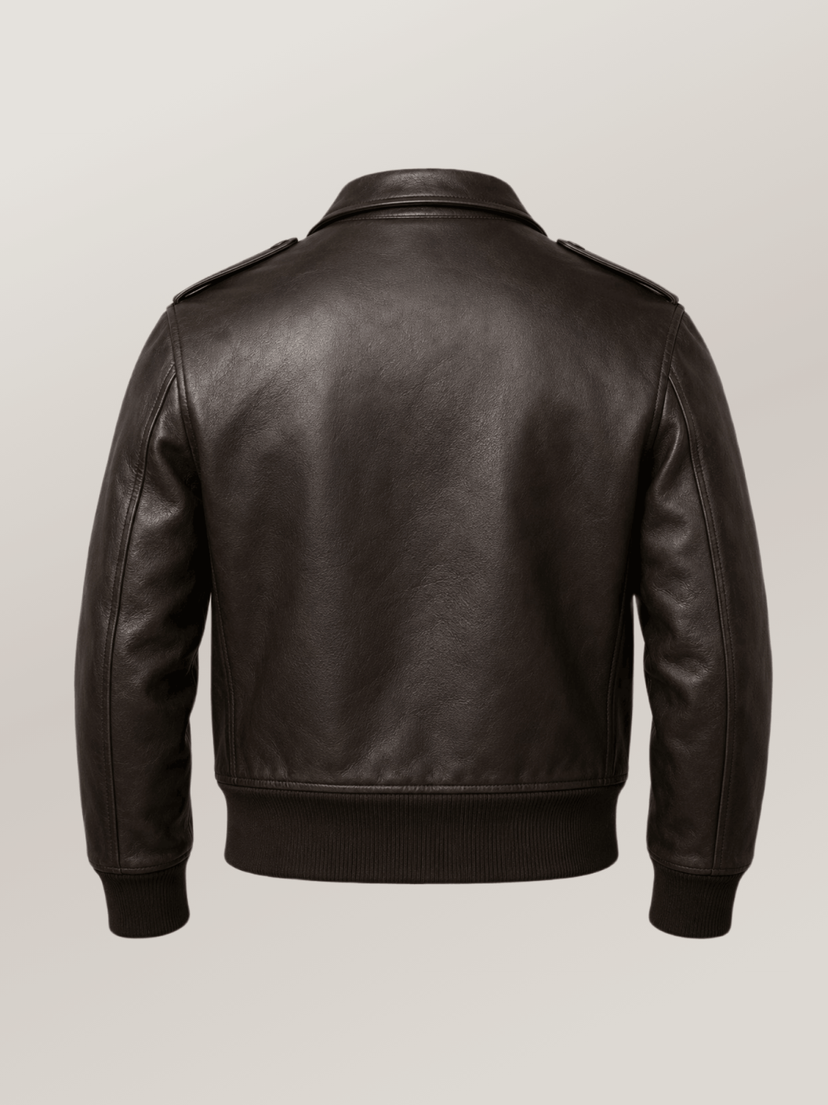 Men's Sheepskin Century A-2 Leather Jacket