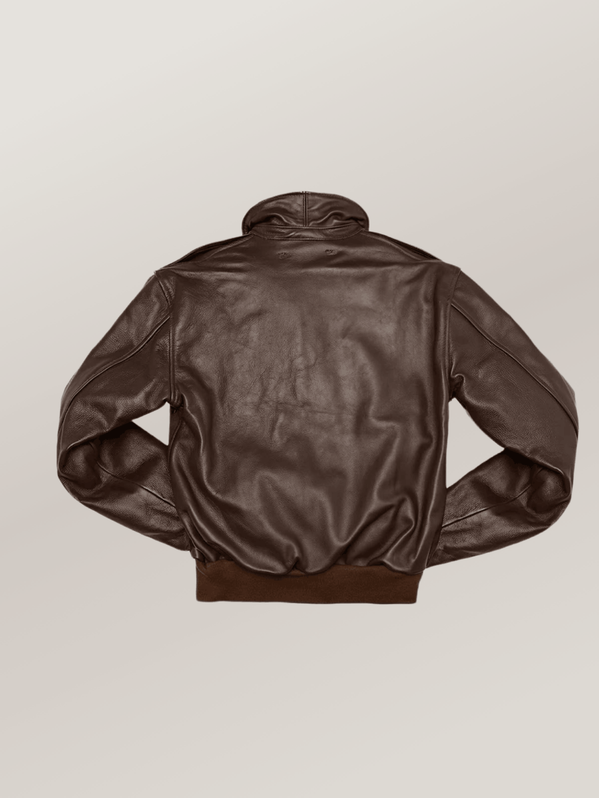 Men's Brown Flying Tigers Fighter Group Jacket